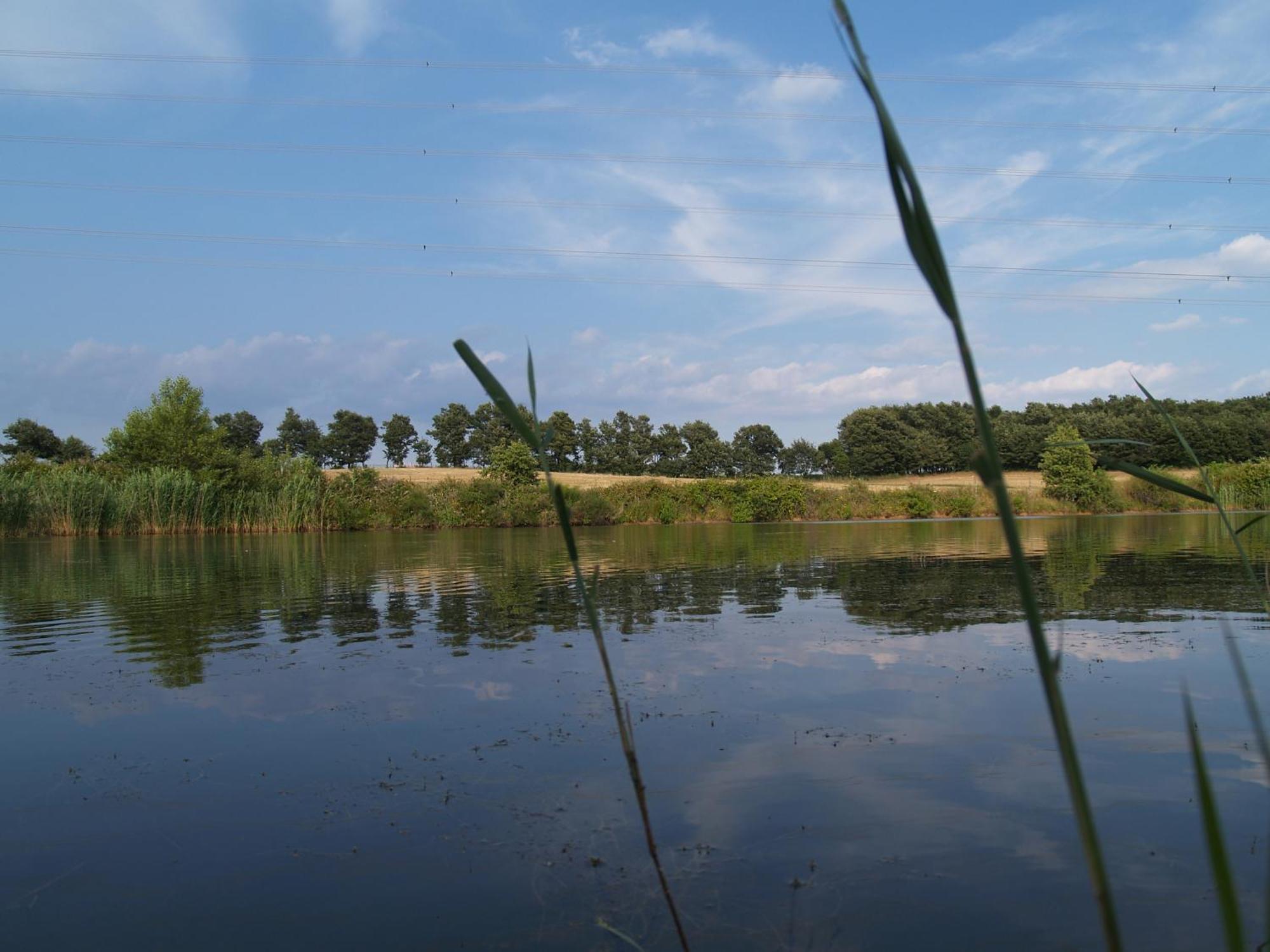 Agriturismo Cavallin Del Bufalo Manciano Dış mekan fotoğraf