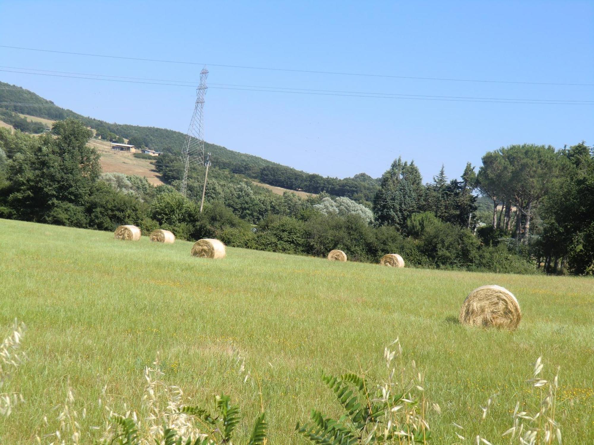 Agriturismo Cavallin Del Bufalo Manciano Dış mekan fotoğraf
